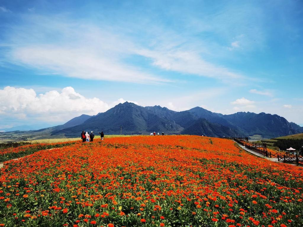 【青海互助县北山国家森林公园的风景摄影图片】青海省互助县北山国家森林公园风光摄影_蓝天白云绿草地_太平洋电脑网摄影部落